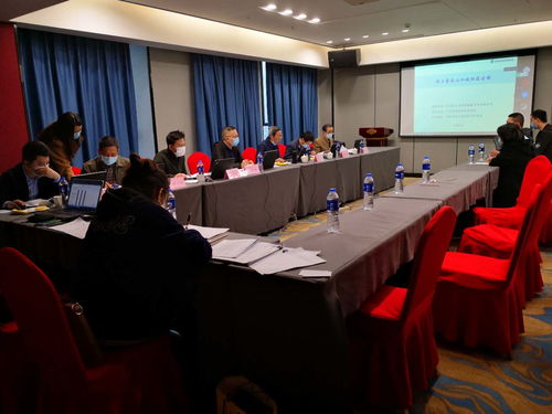 我院技術咨詢成果顯著 恒大童話山水城桐溪古鎮(zhèn)項目順利通過省綠專委評審